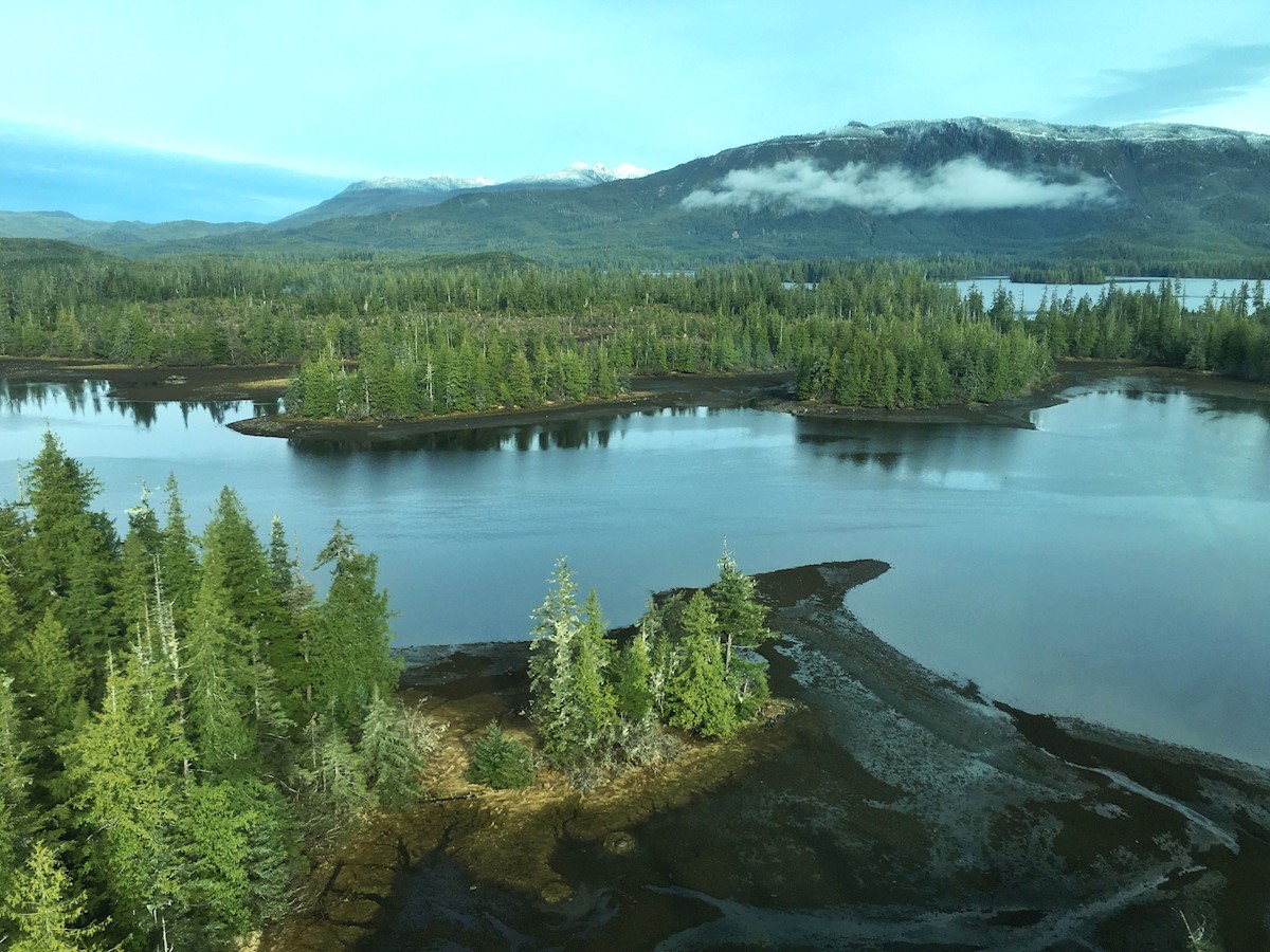 Bosque Nacional Tongass, Alaska- EFE