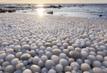 Los huevos de hielo aparecidos en la playa Marjaniemi en la isla Hailuoto, Finlandia