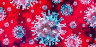 Coronavirus gripe rinitis
