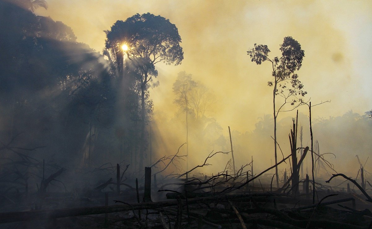 La Tierra agotó todos los recursos destinados para el 2020