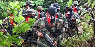 Colombia Guerrilla