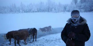 Siberia, El Nacional. Frío