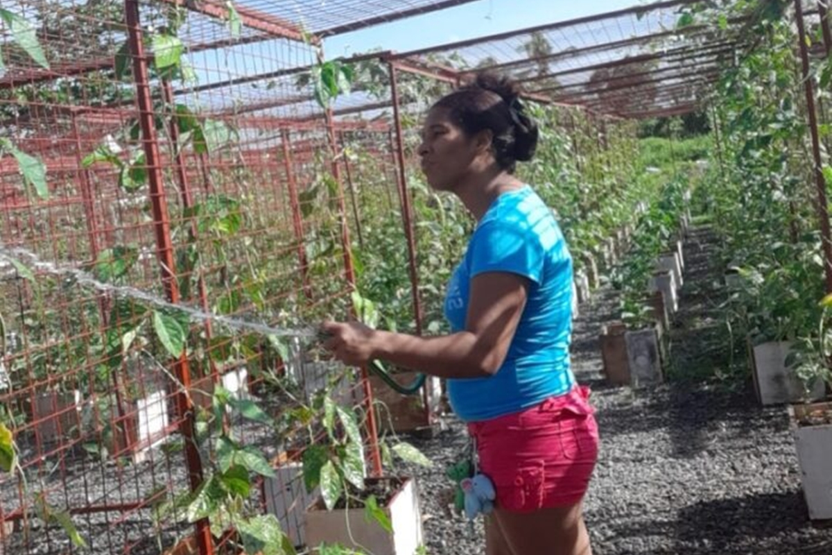 La travesía de una mujer y sus siete hijos para viajar hacia Trinidad y Tobago