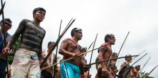 indígena yanomami mineros Brasil