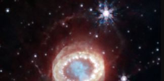 Webb Supernova