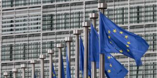 Rechazan la solicitud de veto a la Unión Europea como observador