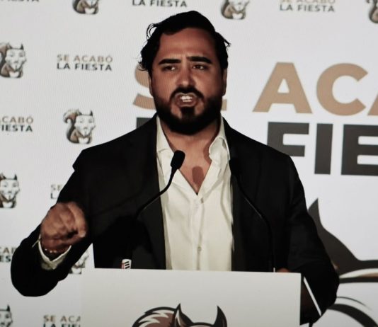 Alvise Pérez planea presentarse a las elecciones generales de España