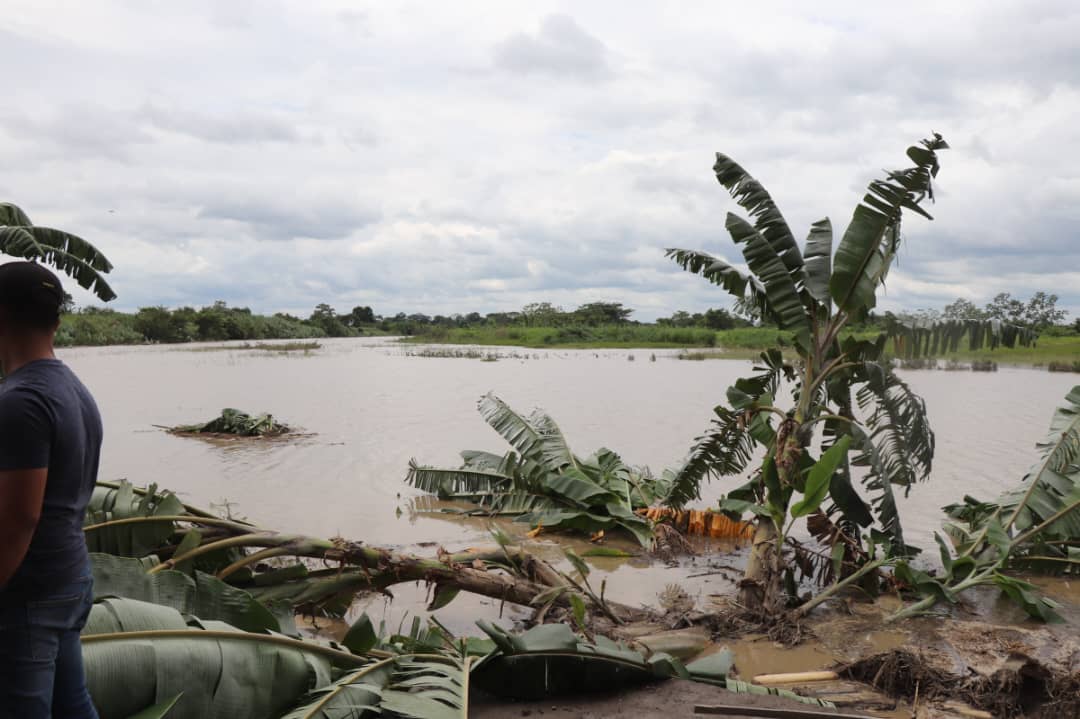 Desbordamiento del río Guanare afecta a más de 400 familias en Portuguesa