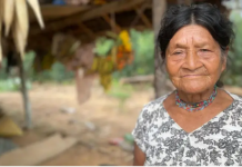 Los tsimanes, en Bolivia, tienen menos arteriosclerosis que los japoneses