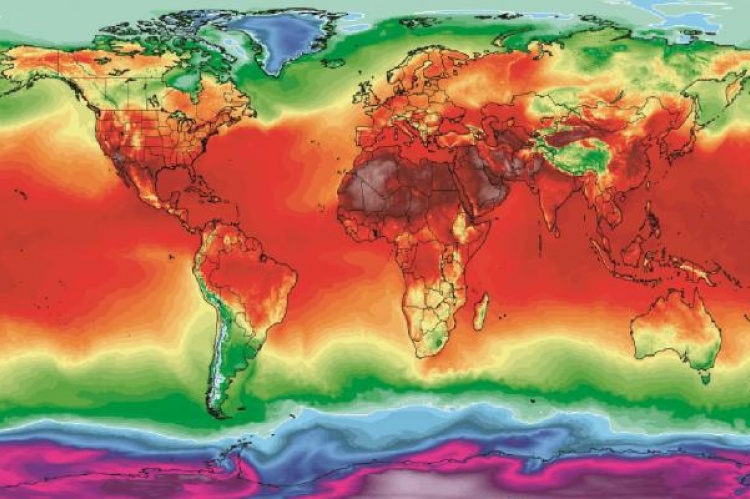 Calor Altas temperaturas Cambio Climático Muertes