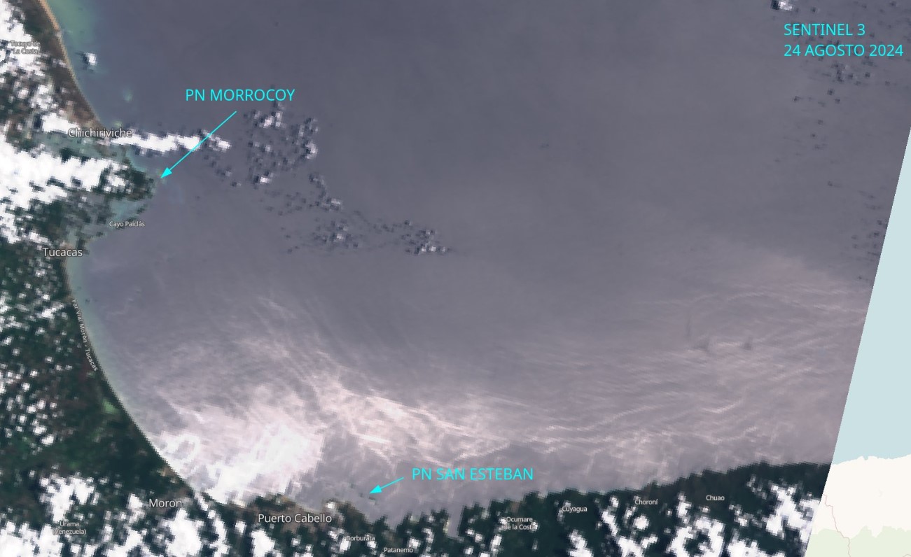 Imagen satelital derrame de crudo El Palito