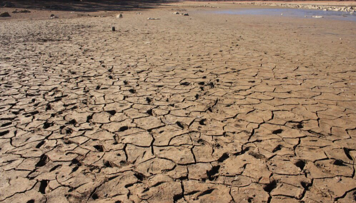 Científicos monitorean llegada de La Niña tras récords de calor