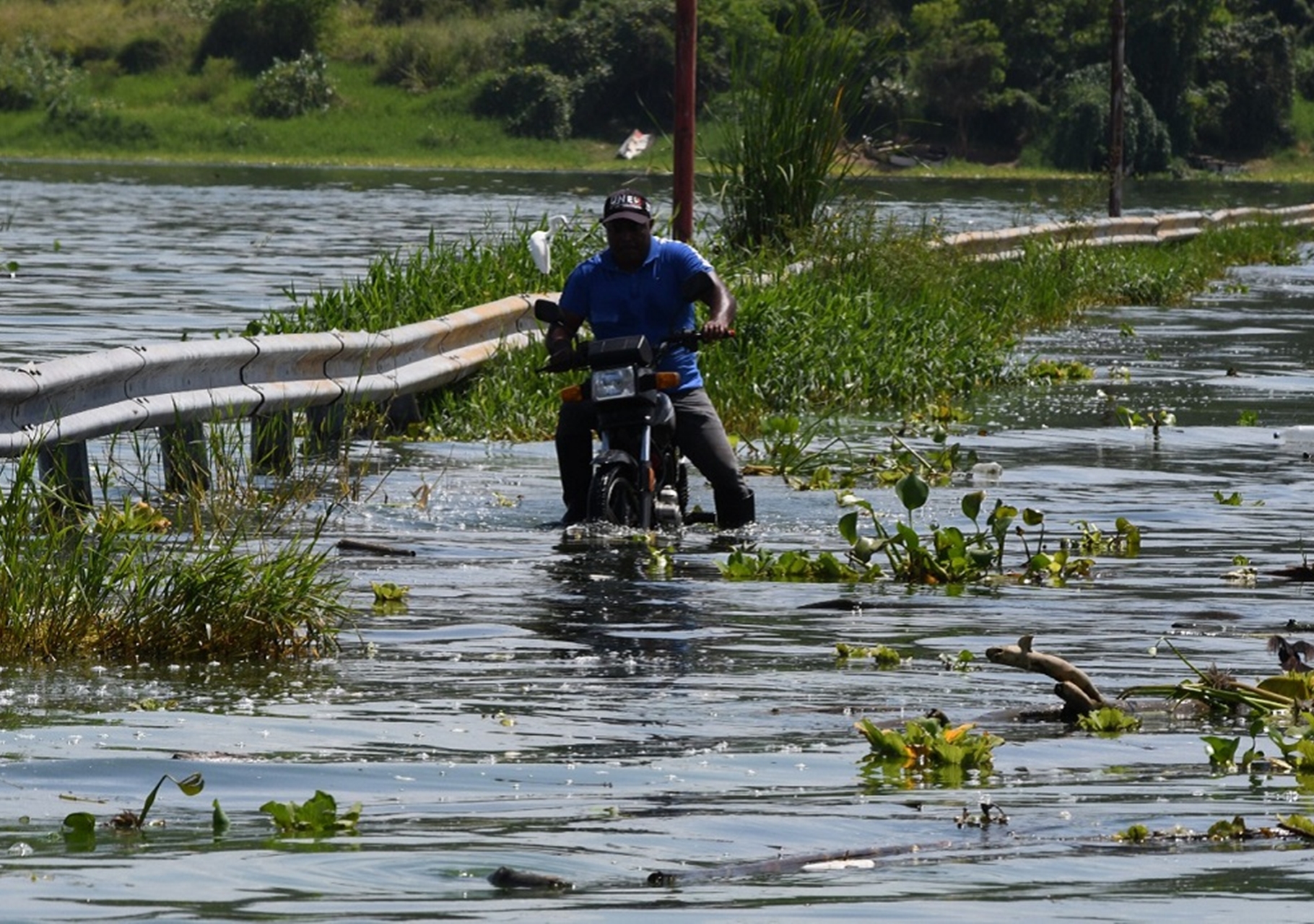 Isla La Culebra puede quedar incomunicada por crecida del lago de Valencia