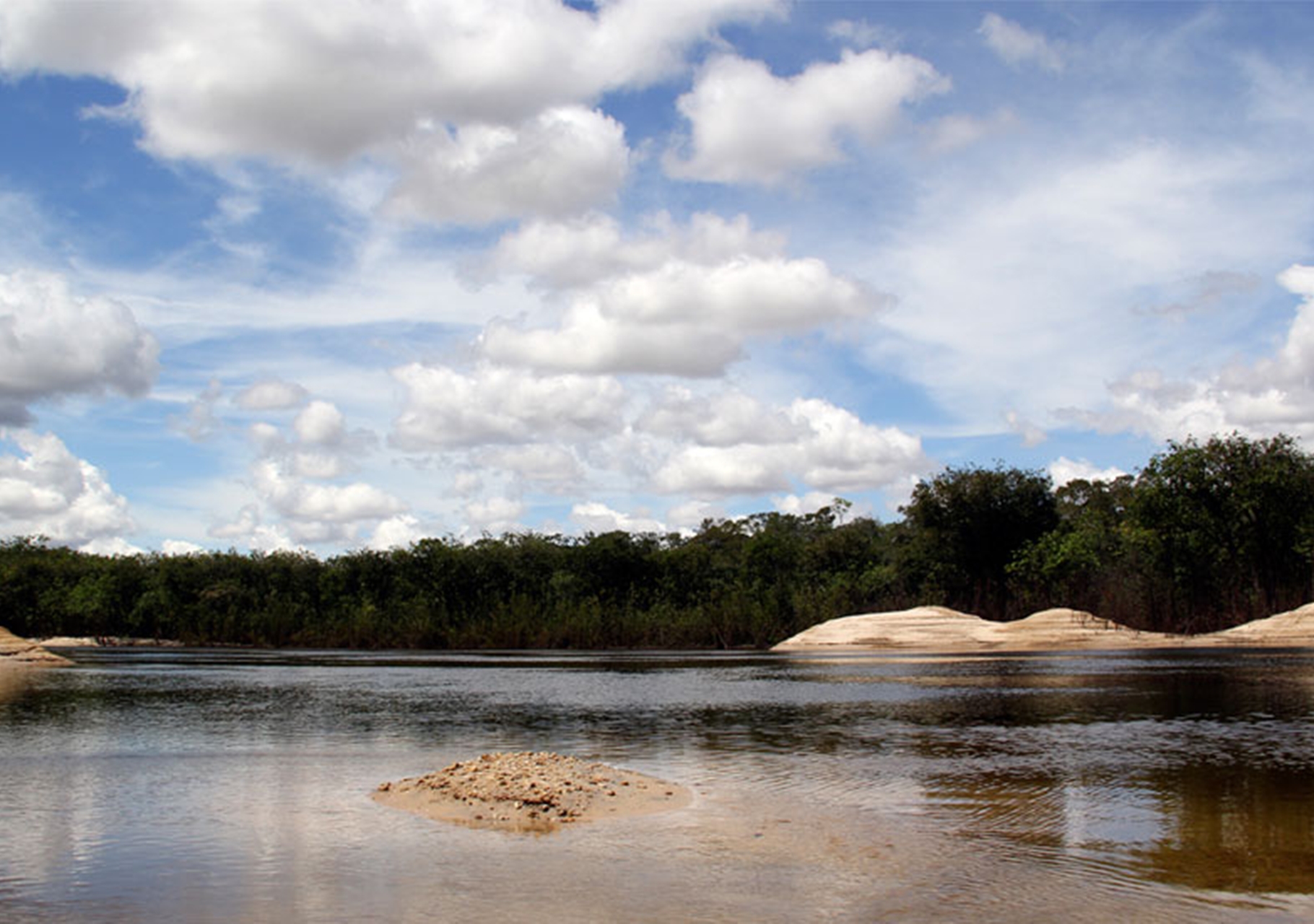 Desmembraron a una mujer y lanzaron las partes al río Orinoco