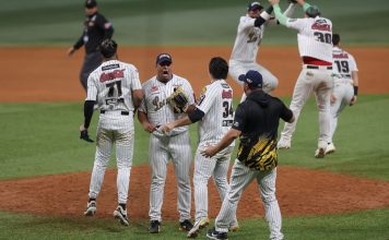 Leones jugará el comodín en Maracay con Tigres de Aragua