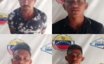 Detuvieron a cuatro hombres por robo y sacrificio de ganado en Cojedes