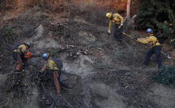 Subió a 25 cifra de muertos por incendios en Los Ángeles