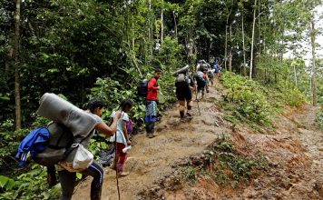 Cifra de migrantes que cruzan el Darién cayó 41% en 2024