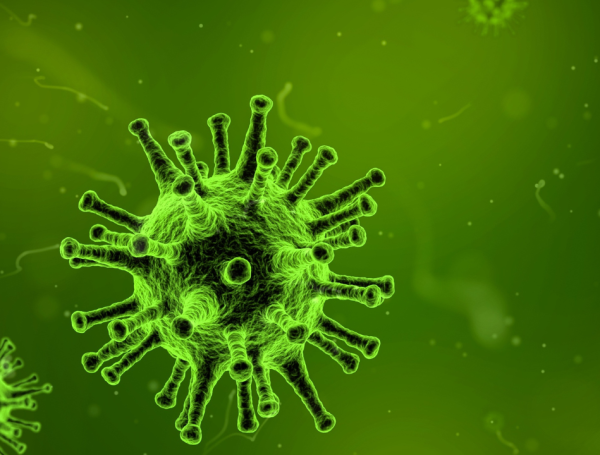 Metapneumovirus Virus China Contagio