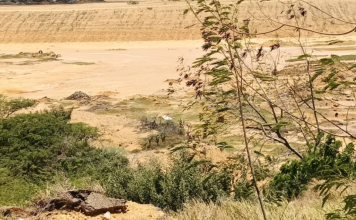 Hallan el cuerpo de un hombre en terrenos cercanos a la refinería de Amuay