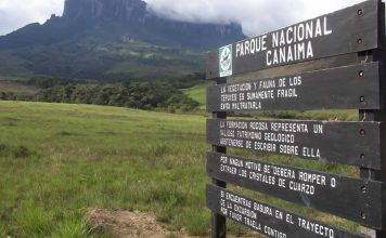 SOS Orinoco denuncia que minería ilegal destruye ecosistemas del Parque Canaima