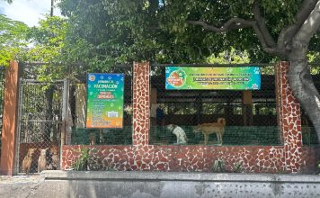 El refugio canino El Valle denuncia abuso sexual de miembro de su equipo y exige justicia
