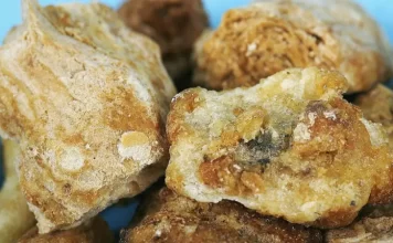 El maná, el «superalimento» milenario que un agricultor intenta revivir en Sicilia