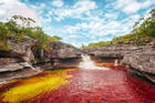 Caño Cristales vuelve a la vida con la paz