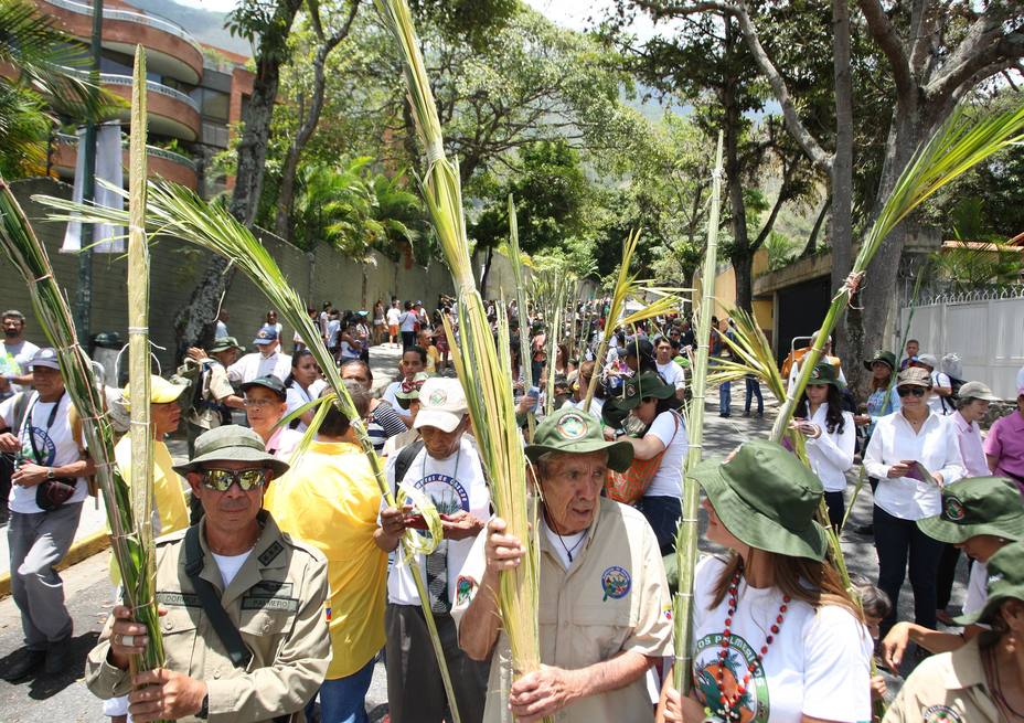 habra-pocas-palmas-para-conmemorar-domingo-ramos_278674.jpg