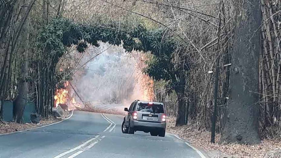 incendio-bosque-bambus-country-club_278364.jpg