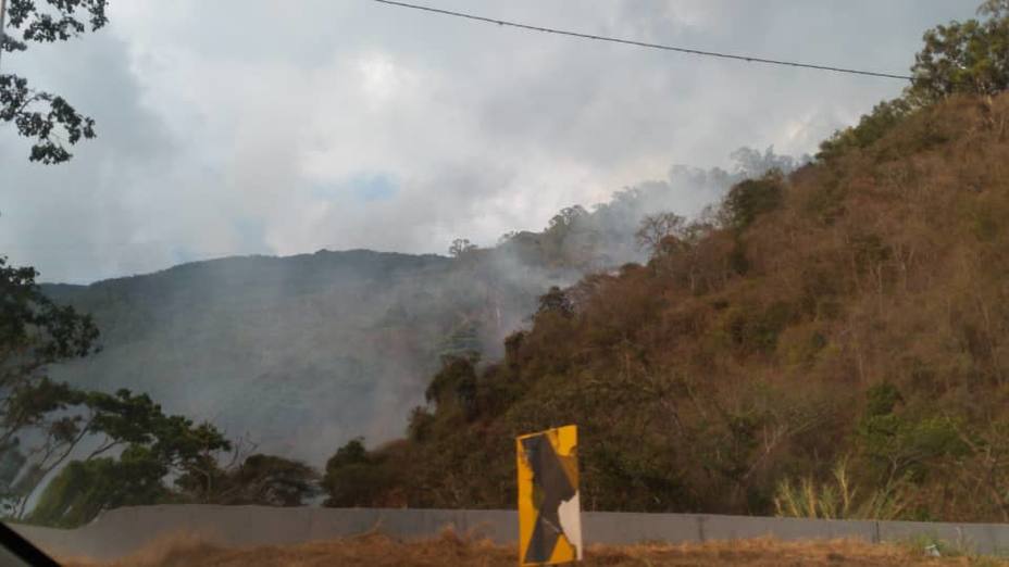 registra-incendio-avila-altura-mariperez-este-viernes_277984.jpg