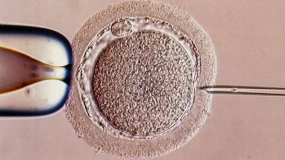 tecnica-por-que-nacio-primer-bebe-tres-padres_278821.jpg