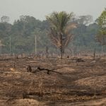 Porto Velho, Amazonia