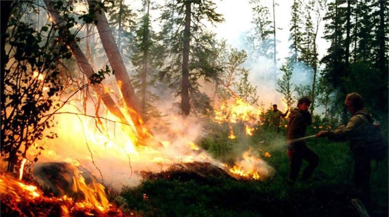 Los incendios en Siberia abarcan un superficie de 2,4 millones de hectáreas