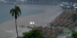 Usuarios reportaron árboles caídos en Catia La Mar y Naiguatá, producto de las torrenciales lluvias en Vargas