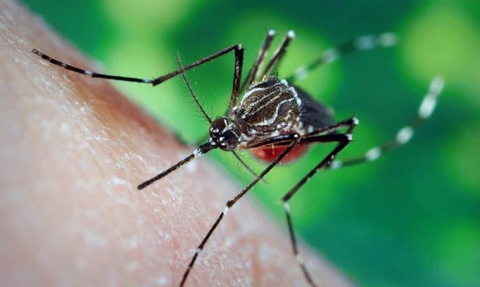 Dengue-República-Dominicana