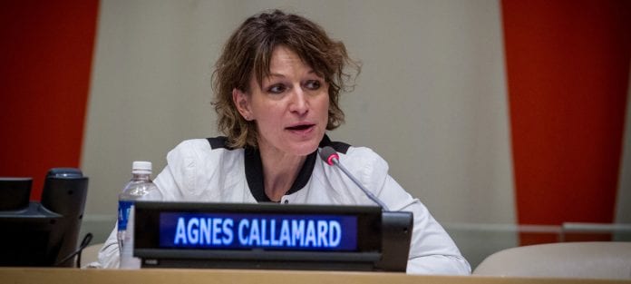 Agnes Callamard, ONU