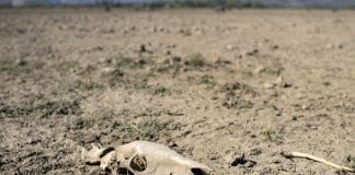 Chile enfrenta actualmente una sequía que se prolonga desde hace 10 años