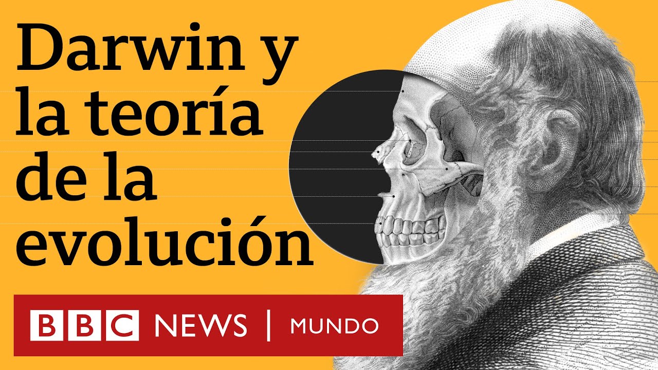 La revolucionaria teoría de la evolución de Darwin (y cómo cambió para siempre nuestra comprensión del mundo)