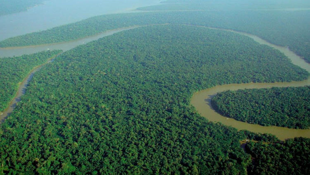 Hallan en Perú a mujer y 3 niños colombianos perdidos hace un mes en la selva amazónica