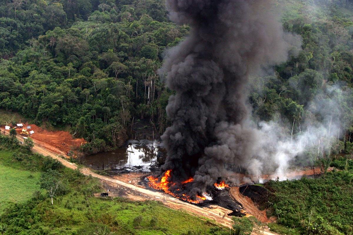 Incendios causados por criminales causaron daño ecológico en Colombia