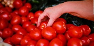 La hipertensión tomate