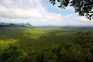 Amazonas