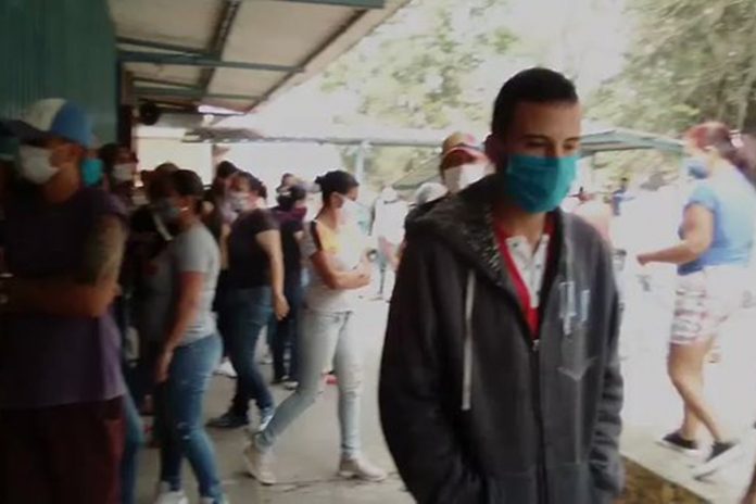 Venezolanos en la frontera, colectivos armados en coronavirus Lady Gómez