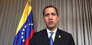 Guaidó discutió con el canciller de Canadá la propuesta del gobierno de Emergencia Nacional