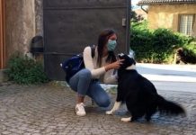 conmovedor reencuentro entre una chica y su perro
