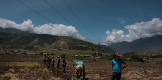 Sector productivo advirtió que la escasez de gasoil atenta contra la seguridad alimentaria de los venezolanos producción agrícola en Venezuela Combustible agrícolas