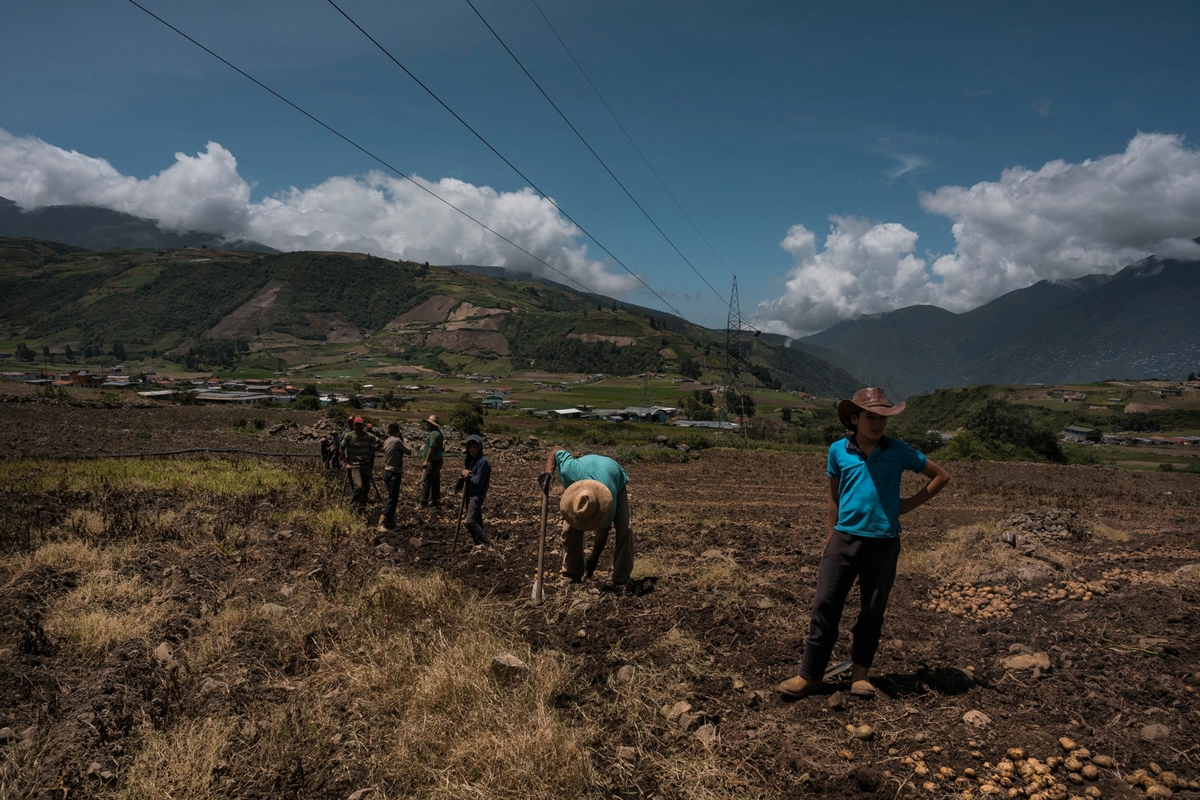 producción agrícola en Venezuela Combustible agrícolas