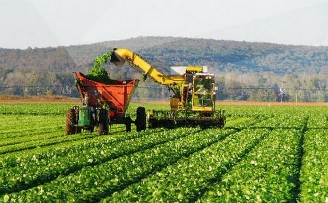 tecnología agroindustrial