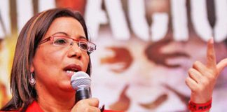 Tania Díaz acusó al canciller de Argentina de atacar a Venezuela